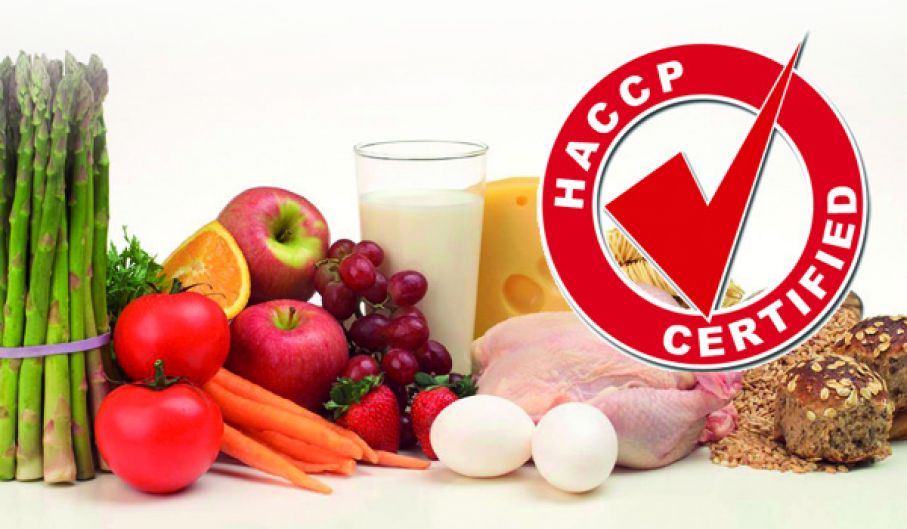 Corsi in partenza a Castelnuovo: Haccp e Piscine