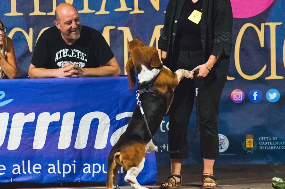 LEVRIERI PROTAGONISTI A CASTELNUOVO. GARFACANINA: ECCO I VINCITORI