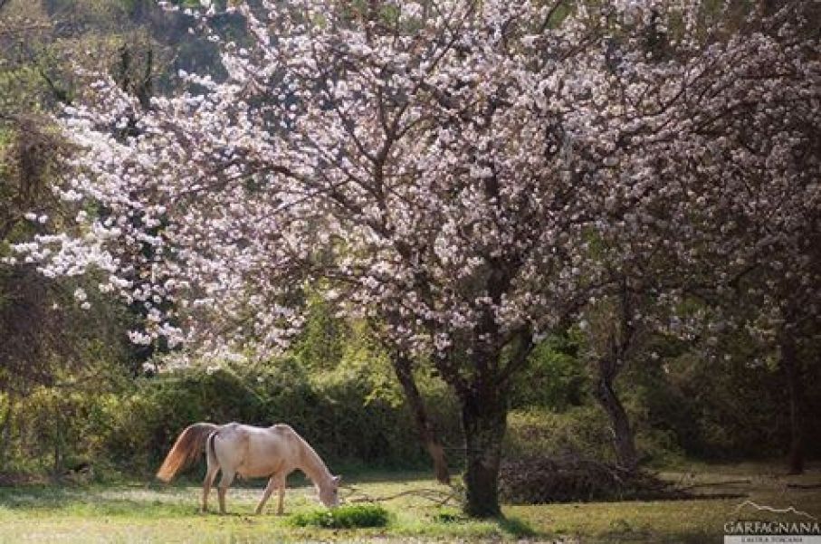Gli albergatori si riuniscono a Castelnuovo