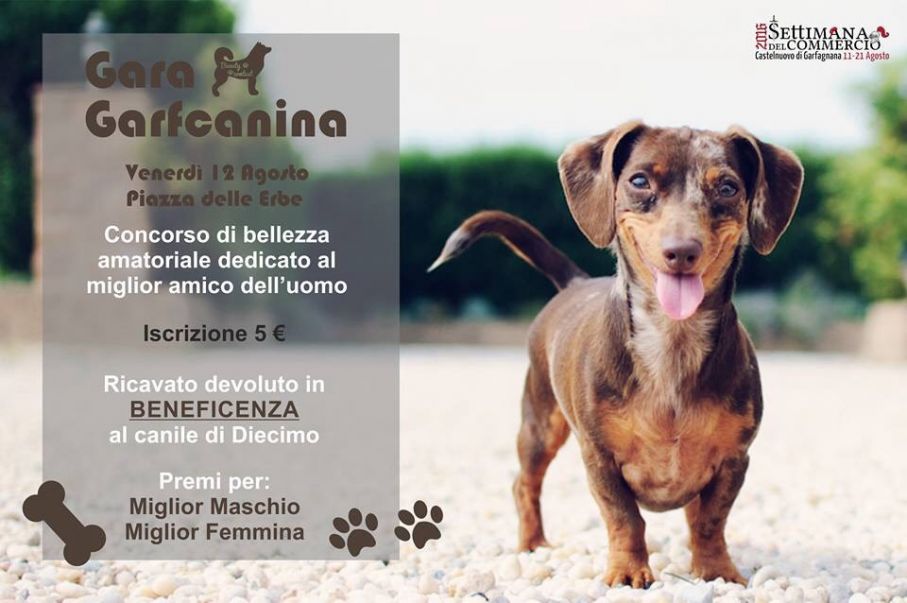 Alla scoperta del programma (prima parte)